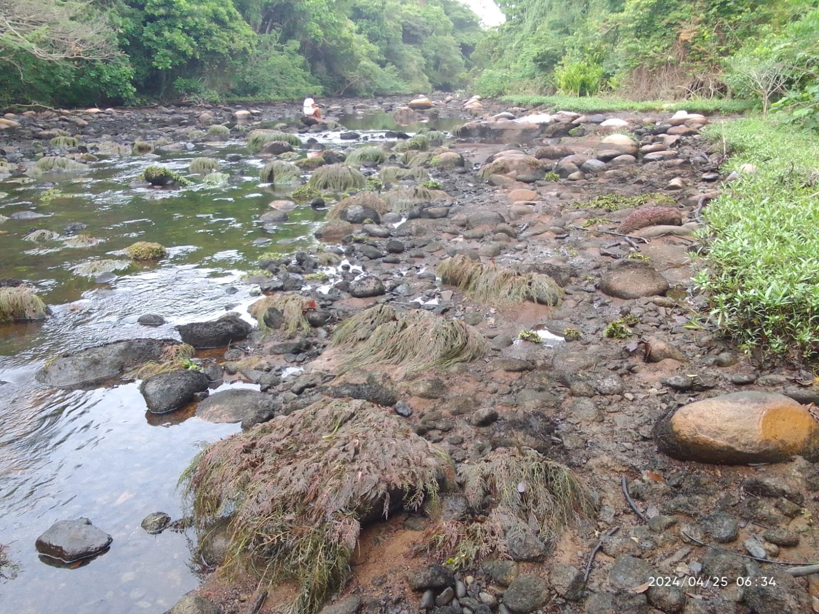 Congresista guajiro, Juan Loreto Gómez Soto, exige explicaciones por daño ambiental en represa El Cercado