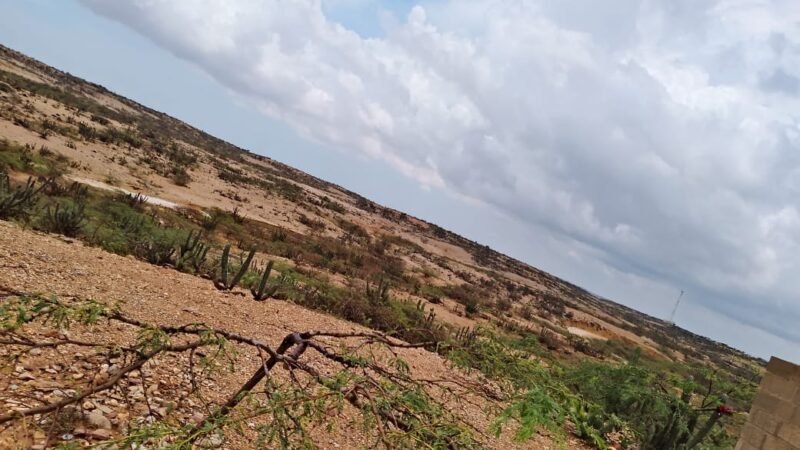 Altas temperaturas, deshidratación, cansancio,y la angustia por no encontrar su casa, pudieron causar la muerte de Iván Jesús, el niño wayuú que había desaparecido  en la Alta Guajira