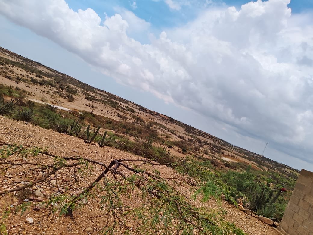 Altas temperaturas, deshidratación, cansancio,y la angustia por no encontrar su casa, pudieron causar la muerte de Iván Jesús, el niño wayuú que había desaparecido  en la Alta Guajira
