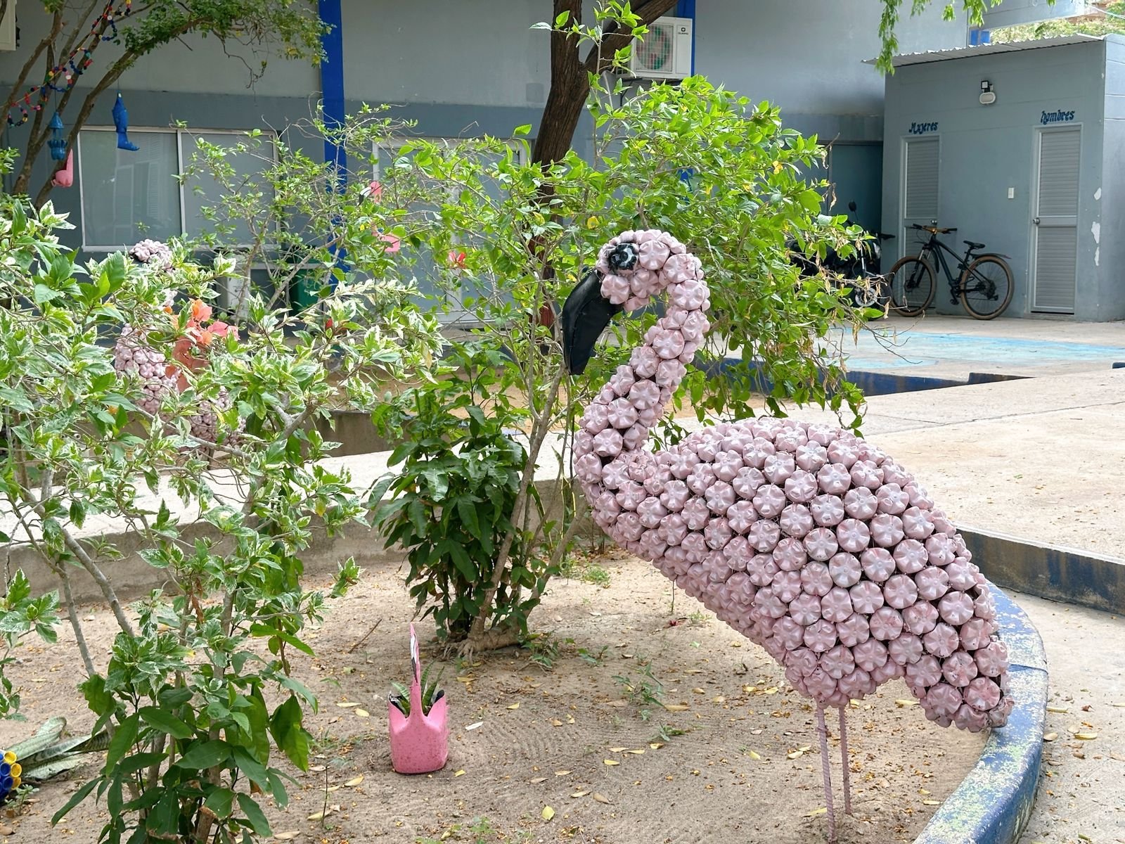 Alcaldía de Riohacha llevará a ANATO 2026 el modelo de formación en turismo de la Institución Educativa Rural Luis Antonio Robles