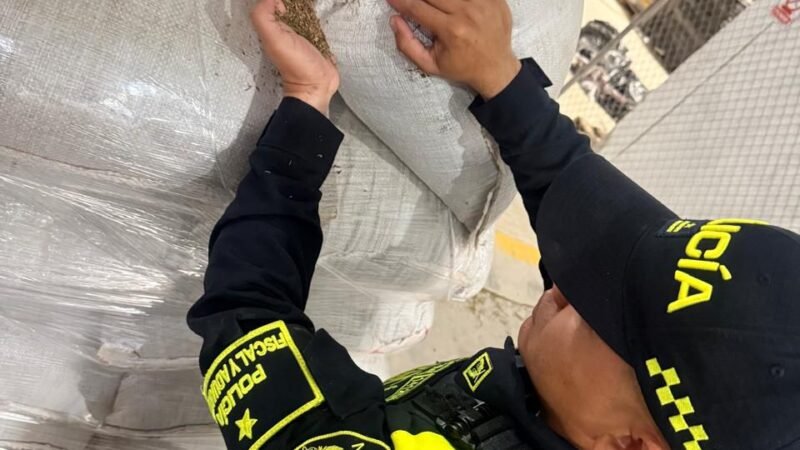 En Maicao, Policía Fiscal y Aduanera y Dian incautan 19 mil kilos de tamarindo y 49 bultos de orégano no aptos para el consumo humano