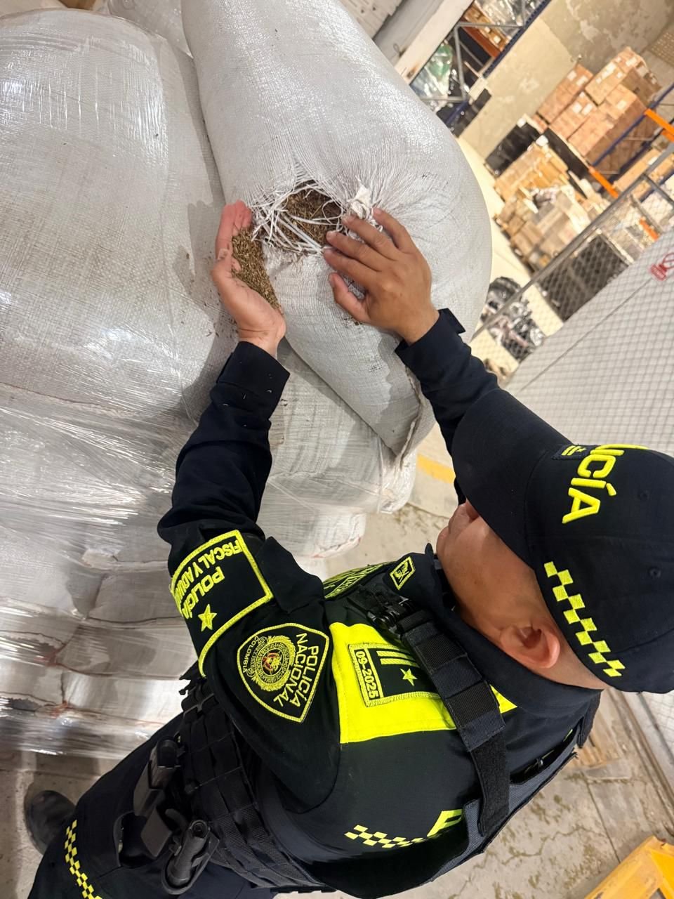 En Maicao, Policía Fiscal y Aduanera y Dian incautan 19 mil kilos de tamarindo y 49 bultos de orégano no aptos para el consumo humano